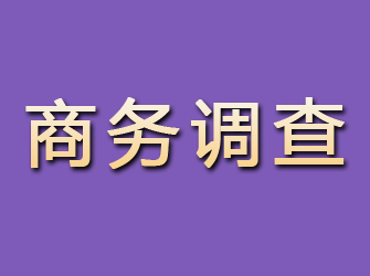 泰安商务调查